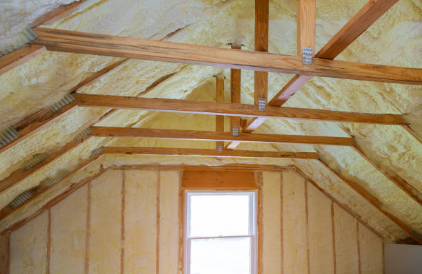 Best Specialized Insulation Services in Pocatello, ID