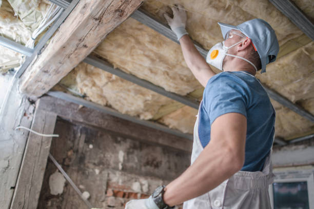 Best Residential Insulation in Pocatello, ID