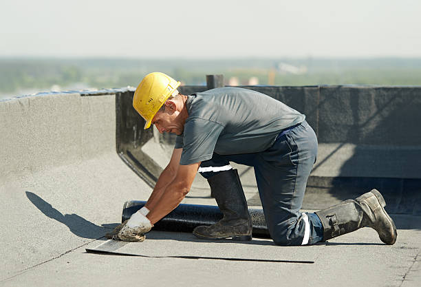 Best Eco-Friendly Insulation in Pocatello, ID