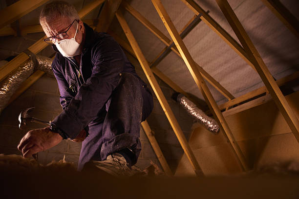 Types of Insulation We Offer in Pocatello, ID
